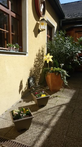 20150421_154555 garten1